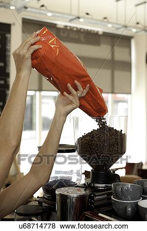 Barista pouring coffee beans into grinder View Large Photo Image Stock Photo - Barista pouring coffee beans into grinder. Fotosearch