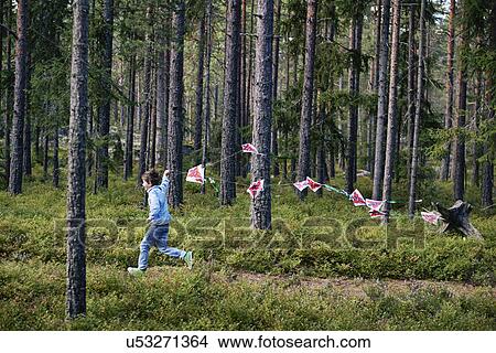 Boy running through forest pulling bunting View Large Photo Image Picture - Boy running through forest pulling bunting. Fotosearch