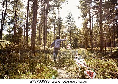 Boy running through forest pulling bunting View Large Photo Image Stock Image - Boy running through forest pulling bunting. Fotosearch