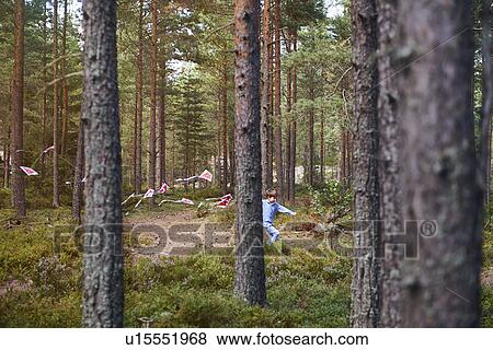 Boy running through forest pulling bunting View Large Photo Image Stock Photo - Boy running through forest pulling bunting. Fotosearch