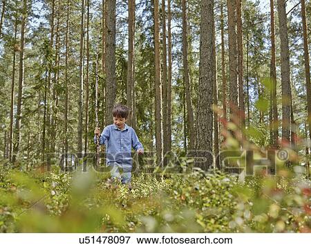Boy walking through forest carrying stick View Large Photo Image Stock Photo - Boy walking through forest carrying stick. Fotosearch