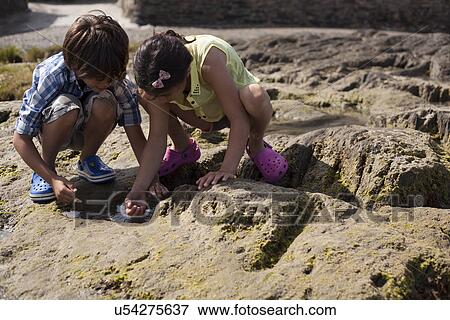 Stock Photo - Brother and sister playing in rock pool at seaside. Fotosearch