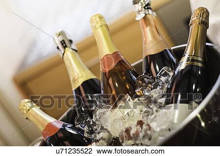 Champagne bottles in wine bucket View Large Photo Image Stock Image - Champagne bottles in wine bucket. Fotosearch