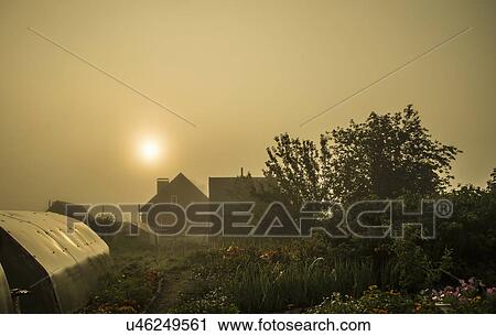 Farm buildings on overcast day View Large Photo Image Stock Image - Farm buildings on overcast day. Fotosearch