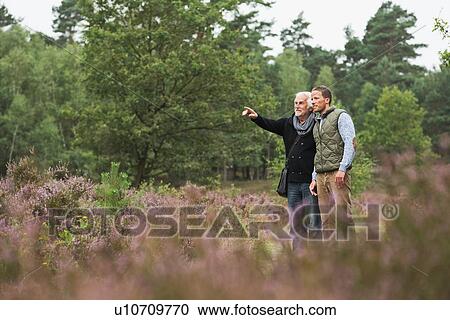 Father and adult son birdwatching View Large Photo Image Stock Image - Father and adult son birdwatching. Fotosearch
