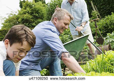 Father and son gardening View Large Photo Image Stock Image - Father and son gardening. Fotosearch