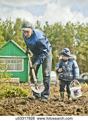 Stock Photo - Father and toddler son digging allotment garden. Fotosearch