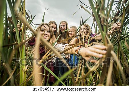 Five young women peering through reeds View Large Photo Image Stock Photo - Five young women peering through reeds. Fotosearch