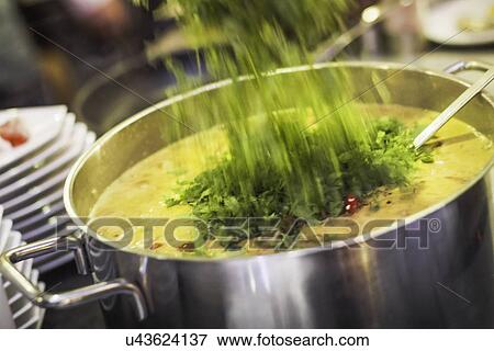 Fresh herbs being poured into saucepan View Large Photo Image Stock Photo - Fresh herbs being poured into saucepan. Fotosearch