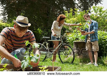 Friends gardening, woman with bicycle View Large Photo Image Stock Image - Friends gardening, woman with bicycle. Fotosearch