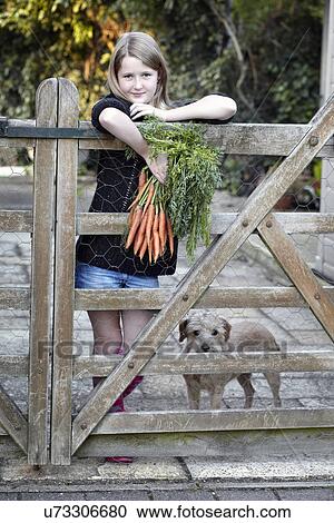 Girl in garden holding bunch of carrots View Large Photo Image Stock Image - Girl in garden holding bunch of carrots. Fotosearch