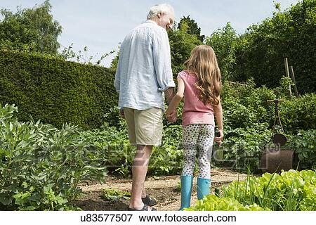 Grandfather and granddaughter holding hands in garden View Large Photo Image Stock Photo - Grandfather and granddaughter holding hands in garden. Fotosearch