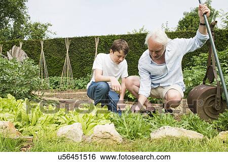 Grandfather and grandson gardening View Large Photo Image Stock Photograph - Grandfather and grandson gardening. Fotosearch