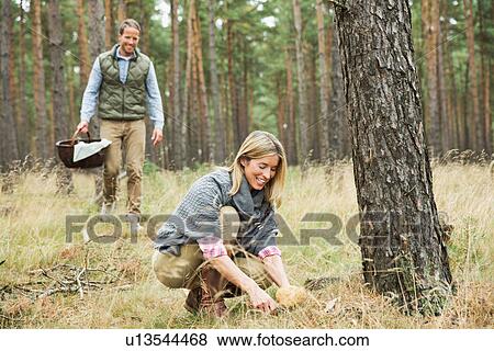 Stock Photo - Mid adult couple foraging for mushrooms in forest. Fotosearch