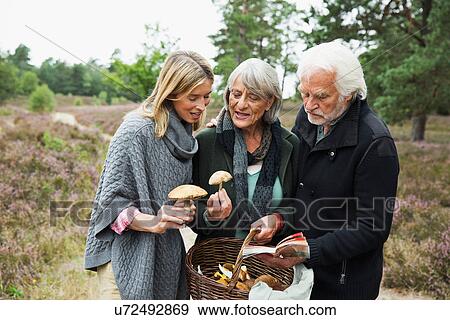 Mid adult woman with senior parents and basket of mushrooms View Large Photo Image Stock Photo - Mid adult woman with senior parents and basket of mushrooms. Fotosearch