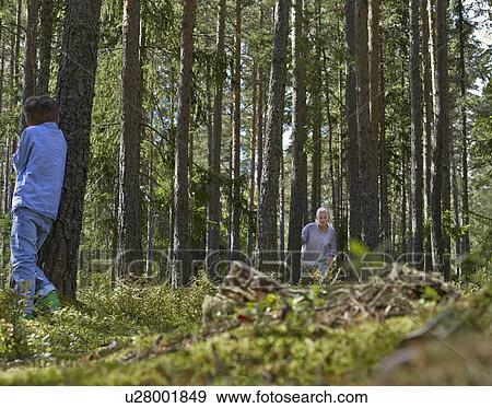 Mother and son playing hide and seek in forest View Large Photo Image Stock Photo - Mother and son playing hide and seek in forest. Fotosearch