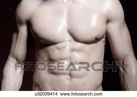 Muscular male torso View Large Photo Image Picture - Muscular male torso. Fotosearch