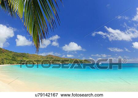Palm leaf and beach, Praslin Island, Seychelles View Large Photo Image Stock Photo - Palm leaf and beach, Praslin Island, Seychelles. Fotosearch