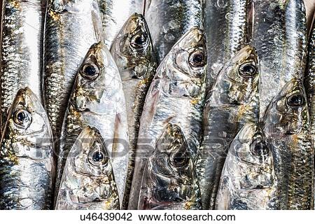 Stock Image - Raw fish, full frame. Fotosearch