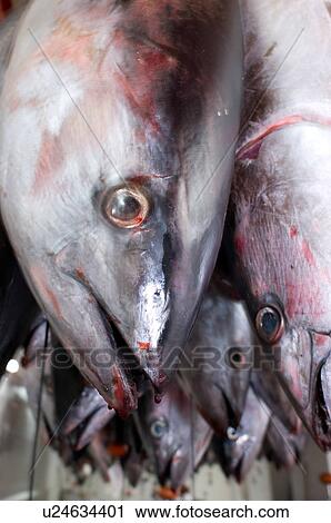 Stock Image - Raw fish hanging upside down. Fotosearch