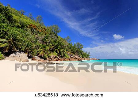 Stock Photo - Sandy beach at Praslin, La Digue, Seychelles. Fotosearch