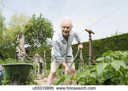 Stock Photography - Senior man gardening. Fotosearch