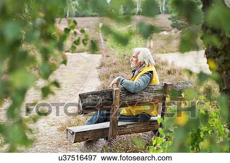 Senior man sitting on bench View Large Photo Image Stock Photo - Senior man sitting on bench. Fotosearch