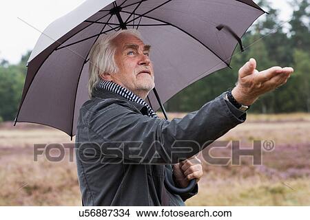 Picture - Senior man under umbrella checking for rain. Fotosearch