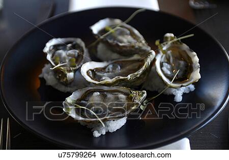 Still life gourmet food, plate of oysters View Large Photo Image Picture - Still life gourmet food, plate of oysters. Fotosearch