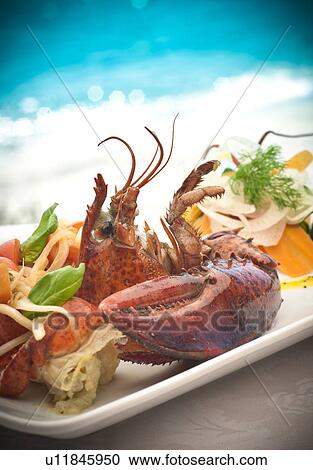 Still life of seafood platter with basil and dill garnish View Large Photo Image Stock Image - Still life of seafood platter with basil and dill garnish. Fotosearch