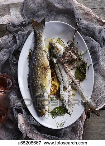 Stock Photo - Still life with branzino fish and bones. Fotosearch