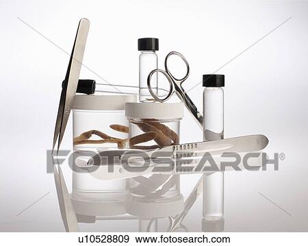 Still life with forensic equipment and preserved earth worms in container View Large Photo Image Stock Photo - Still life with forensic equipment and preserved earth worms in container. Fotosearch