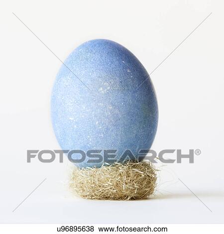 Still life with large blue egg balanced on small nest View Large Photo Image Stock Photo - Still life with large blue egg balanced on small nest. Fotosearch