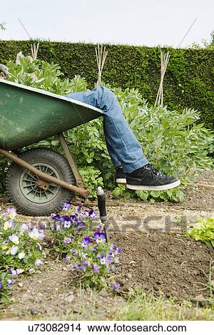 Teenage boy leg's in wheelbarrow View Large Photo Image Picture - Teenage boy leg's in wheelbarrow. Fotosearch