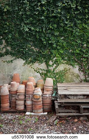 Terracotta plant pots by wall with ivy View Large Photo Image Stock Photo - Terracotta plant pots by wall with ivy. Fotosearch