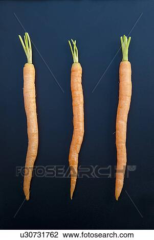 Three carrots, still life View Large Photo Image Stock Image - Three carrots, still life. Fotosearch