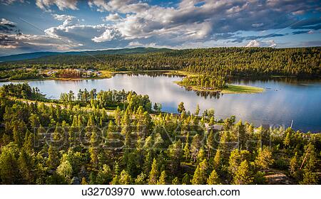 Water and forest, Adolfstromm, Lapland, Sweden View Large Photo Image Stock Image - Water and forest, Adolfstromm, Lapland, Sweden. Fotosearch