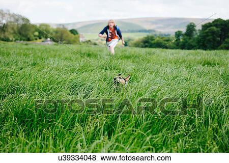Young man and his dog running through grassy field View Large Photo Image Stock Photo - Young man and his dog running through grassy field. Fotosearch