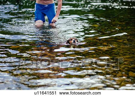 Young man and his dog swimming in river View Large Photo Image Stock Image - Young man and his dog swimming in river. Fotosearch
