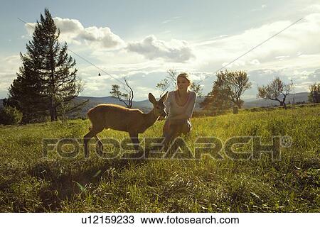 Young woman in field with fawn View Large Photo Image Stock Image - Young woman in field with fawn. Fotosearch