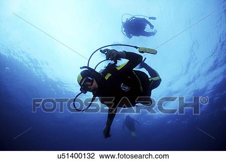 Stock Image - Outdoors, Sea, Ocean, Marine Life, Underwater, Water, Coral. Fotosearch