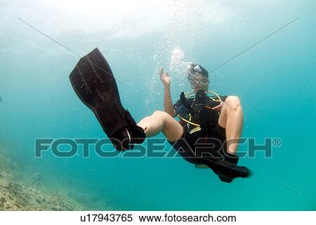 Outdoors, Sea, Ocean, Marine Life, Underwater, Water, Coral View Large Photo Image Stock Photography - Outdoors, Sea, Ocean, Marine Life, Underwater, Water, Coral. Fotosearch