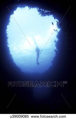 Outdoors, Sea, Ocean, Marine Life, Underwater, Water, Coral View Large Photo Image Stock Photography - Outdoors, Sea, Ocean, Marine Life, Underwater, Water, Coral. Fotosearch