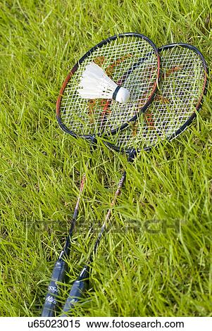 Sports, Basketball, Basketball Player, Dribbling, Hobbies, Outdoors, Day View Large Photo Image Stock Photography - Sports, Basketball, Basketball Player, Dribbling, Hobbies, Outdoors, Day. Fotosearch