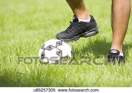 Sports, Basketball, Basketball Player, Dribbling, Hobbies, Outdoors, Day View Large Photo Image Stock Photography - Sports, Basketball, Basketball Player, Dribbling, Hobbies, Outdoors, Day. Fotosearch