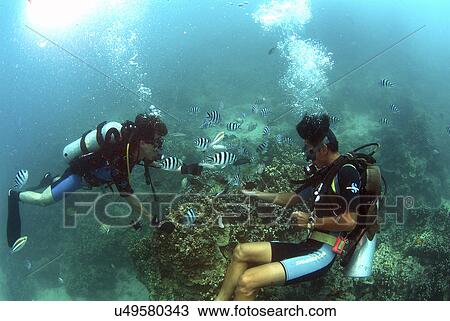 Stock Image - Travel Destinations, Beach, Cloud, Sky, Tourist Resort, Tourism, Swimming Pool. Fotosearch