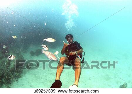 Stock Photo - Travel Destinations, Beach, Cloud, Sky, Tourist Resort, Tourism, Swimming Pool. Fotosearch