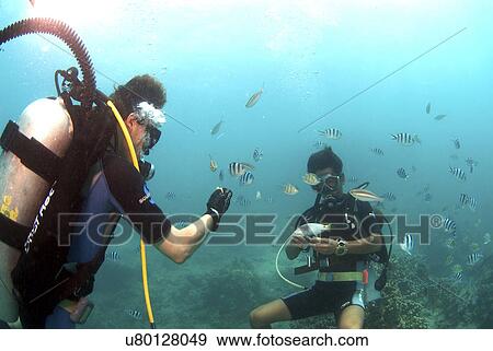 Stock Photo - Travel Destinations, Beach, Cloud, Sky, Tourist Resort, Tourism, Swimming Pool. Fotosearch
