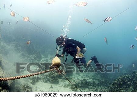 Stock Photo - Travel Destinations, Beach, Cloud, Sky, Tourist Resort, Tourism, Swimming Pool. Fotosearch