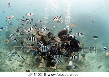 Stock Photograph - Travel Destinations, Beach, Cloud, Sky, Tourist Resort, Tourism, Swimming Pool. Fotosearch